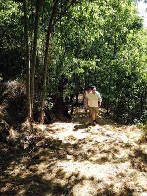 SELECTION099 web vignette