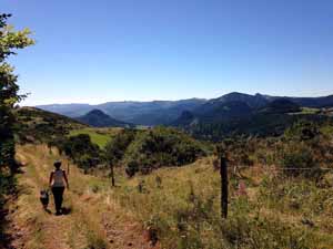 SELECTION103 vignette