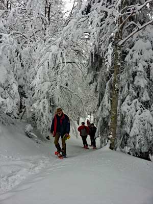 Balade en raquettes sur le plateau