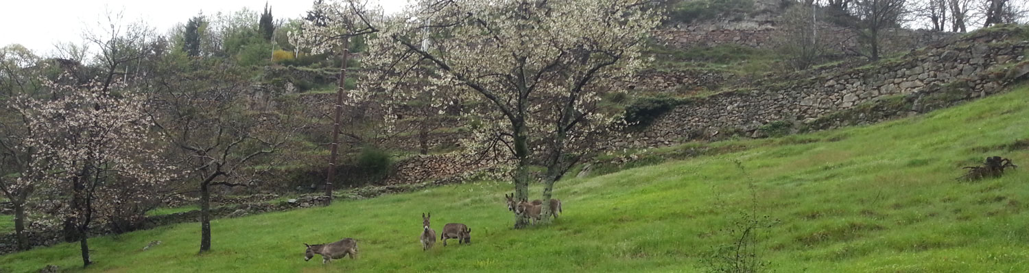 20130429 074610 diap6