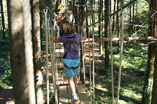 Foret de l'&venture à Jaujac